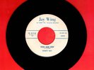 NANCY DAY TEEN AGE HOP ROCKABILLY TEEN BOPPER 45 RPM RECORD