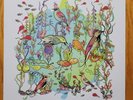 John Zorn Dreamers O'o 2009 vinyl Record (Trevor Dunn, Marc Ribot) Picture Disc