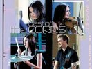 The Corrs Best of the Corrs (Vinyl) 12
