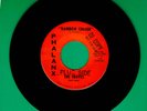 TROYES RAINBOW CHASER MICHIGAN GROUP PUNK GARAGE 45 RPM RECORD