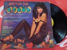 LP EXITOS DEL OTOÑO VARIOUS 1980 ARGENTINA MICSA 70026 CHEESECAKE SEXY COVER