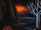 Gris - Il Etait Une Foret  DLP