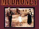 New Music Mudhoney 