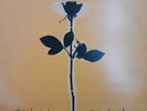 Depeche Mode Enjoy The Silence 12