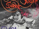 Sonic Youth ‎- Evol LP - Vinyl Album - SEALED NEW RECORD