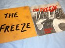 THE FREEZE I hate tourists & Guilty Face Punk RARE DYS BOSTON SSD SLEEVES ONLY