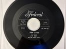 James Brown I Know It’s True I’ll Go Crazy Federal Records 45 RPM Vinyl R1797