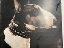 Pixies - Here Comes Your Man - BAD 909 - 1989 First pressing 12