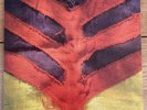 Yeah Yeah Yeahs Show Your Bones Interscope Records B0006337-01 Vinyl