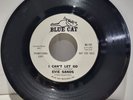 EVIE SANDS I can't let go/You've got me up tight  Female Rock 45 PROMO 1965  VG