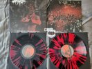 Dead Will Rise Rest Assured, This Dream Is Dead Vinyl Record LP New Wax Vessel