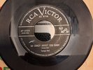 TAMPA RED: so crazy about you baby / so much trouble RCA 7