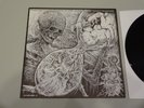 INSECT WARFARE FLAGITIOUS IDIOSYNCRASY IN THE DILAPIDATION split 7