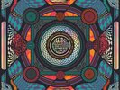 Live In Asheville - King Gizzard & the Lizard Wizard - Status Serigraph Sealed