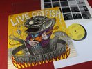 Catfish  LIVE CATFISH  -  LP Epic BN 26295 Holland 1971 near mint
