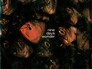 Nine Days Wonder Nine Days Wonder Bacillus Vinyl LP