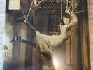 Porcupine Tree - Signify - Ltd Edition 2x Yellow Vinyl LP