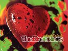 The Breeders - Last Splash LP vinyl record