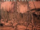 Hate Forest – Sorrow LP (NEW 2011 Vinyl 180g) Reissue 2005 Death Metal Drudkh