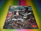 Banchee - Thinkin *SEHR GUT*1971*GERMANY* TOP RAREST PROG*PSYCH*ROCK KRACHER LP