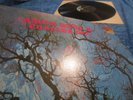 AMON DÜÜL  PHALLUS DEI  WIE NEU / MINT GERMAN PRESSING / MAKELLOSES VINYL