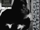 Viktor Vaughn 2 x LP Vaudeville Villain / MF DOOM New & Sealed RSD