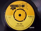 THE KINGSTONIANS - NICE NICE  (RARE REGGAE)  45