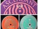 ASCENDANT GROOVES TRIPLE PACK (Good Looking Records) 1997/98