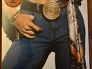 Brand New Heavies Never Stop...The Best Of [VINYL 2-LP]