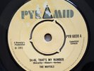 THE MAYTALS - 54-46, That's My Number   1968  7