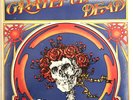 Grateful Dead - self-titled double live (aka Skull and Roses) VG+