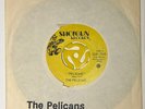 The Pelicans Pelicans b/w New Wave 1978 Canada 7” 45 Record Punk Rare KBD VG+