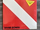 van halen diver down vinyl sealed w/ sticker 1982 pressing RARE