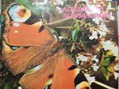Alessandro Alessandroni LP VINILE
