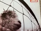 Pearl Jam Vs Vinyl