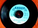 Northern soul The Drifters You got to pay your dues EX condition