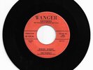 DOO WOP 45 THE PLURALS GOOD NIGHT ON WANGER   VG+ ORIGINAL