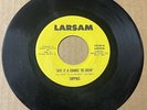 Toppiks SWEET SOUL 45 Give It A Chance To Grow / Surrender LARSAM VG+++ HEAR