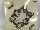 DAVID (NUNEZ): david MOTHERLODE 12