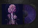 Blut Aus Nord Hallucinogen (purple w/ pink swirl) NM-M played twice