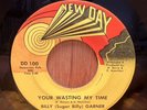 BILLY (SUGAR BILLY) GARNER   Your Wasting My Time   New Day funk soul 45