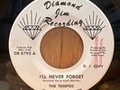 THE TEMPOS   I'll Never Forget   Diamond Jim northern soul r&b 45 EX