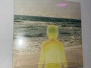 Beach Weather Pineapple Sunrise Vinyl