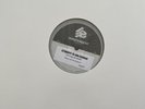 Hot Water Music - Shake Up The Shadows Vinyl -Epitaph White Label B-side Etching