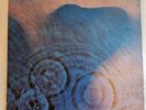 Pink Floyd Meddle