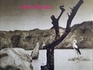 Tonton Macoute – Tonton Macoute (Reissue, Vinyl LP) NEU&OVP  2022