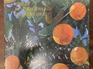 Lana Del Rey Violet Bent Backwards Over The Grass Cream Vinyl LP