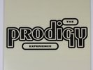 The Prodigy – Experience / Repress, Reissue, 2006 Gatefold LP