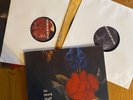 Nick Cave And The Bad Seeds ‎– No More Shall We Part VINYL LP VG COVER VG+