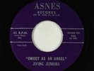 Doo-Wop 45 - Jiving Juniors - Sweet As An Angel/Moonlight Lover - Asnes - VG+